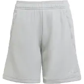 Adidas Tiro 25 Travel Shortsit