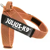 JULIUS K-9 Idc Norwegian Koiran Valjaat