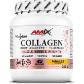 Amix Viscofan 300g Kollagen Vanille