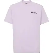 Dickies Statesville Lyhythihainen T-paita