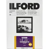 Ilford Mg Rc Dl 25m 13x18 100 Sheet Paperirulla