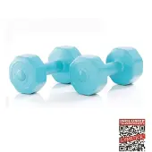 Gymstick Active Vinyl S 2 X 5kg Käsipaino