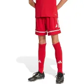 Adidas Urheiluhousut 'Squadra 25' karmiininpunaine / valkoinen