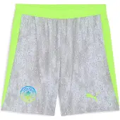 Puma Manchester City Fc 25/26 Replica Shortsit