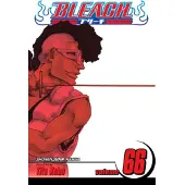 Kubo, Tite Bleach, Vol. 66