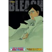 BOKUS Bleach (3-in-1 Edition), Vol. 24