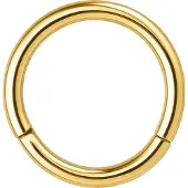 Wildcat Hinged Segment Ring - kullanvärinen lävistysrengas (teräs)
