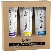 Anwen 3 hoitoaineen setti suurelle huokoisuudelle - 3 x 100 ml