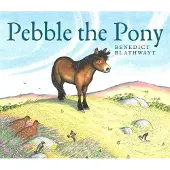 Benedict Blathwayt Pebble the Pony