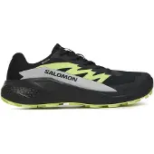 Salomon Alphaglide Gore-tex Polkujuoksukengät