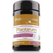 Aliness ProbioBalance Plantarum - 30 kapselia
