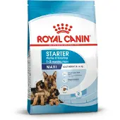 Royal Canin - Maxi Starter Kuivamuona koirille 15 kg - Koirat - Koiranruoka - Kuivaruoka