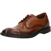 Lloyd X-Motion 150 - Brown - 40.5