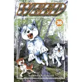 Takahashi, Weed 36
