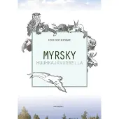 Koipijärvi, Myrsky Huuhkajavuorella