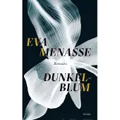Menasse, Dunkelblum - Romaani