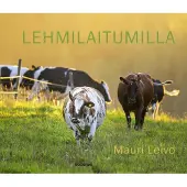 Lehmilaitumilla