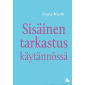 Niemi, Sisäinen tarkastus käytännössä