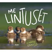 Laakso, Me Lintuset