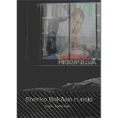 Bekäs, Pikkupeilejä - Sherko Bekäsin runoja