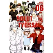 Solut työssä