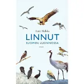 Halkka, Linnut Suomen luonnossa