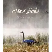 Luumi, Elämä siivillä
