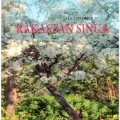Lindholm, Rakastan sinua