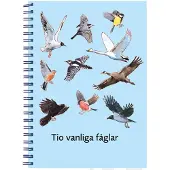 Vahlberg, Tio vanliga fåglar, fakta- och arbetsbok