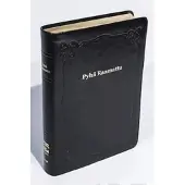 Raamattu (johdannoin, iso koko, marginaali, musta R47, nahkakansi)