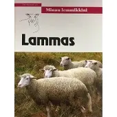 Lammas