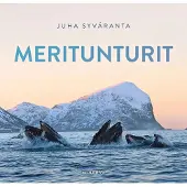 Meritunturit