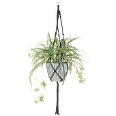 4Living musta 100 cm rönsylilja amppeli