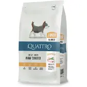 Quattro Junior siipikarjan kuivarehulla nuorille koirille, 1,5 kg
