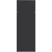 EFB Elektronik Elektronik PRO-W420EP.TS, Sivuseinä, Terästä, Musta, 1 kpl