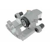 ABE Jarrusatula CZH1484