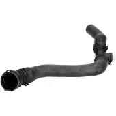 THERMOTEC Jäähdyttimen letku DWW176TT