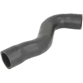THERMOTEC Jäähdyttimen letku DWM159TT