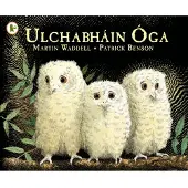Bookoutlet Ulchabhain Oga (Owl Babies)