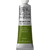 Winsor & Newton Winton 37ml öljyväri