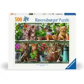 Ravensburger Cats on the Shelf 500p palapeli