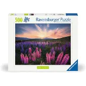Ravensburger - Puzzle Lupins 500p (12000688)
