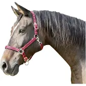 Foga Halter Mustang Full Red/Black