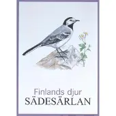 Sädesärlan