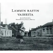 Rautavirta, Lammin raitin vaiheita