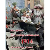 Björknäs, Sex veckor sommaren 1914