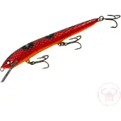 Nils Master Invincible 15 cm vaappu