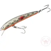 Nils Master Invincible 12 cm vaappu
