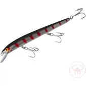 Nils Master Invincible 18 cm vaappu