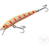 Nils Master Invincible 12 cm vaappu